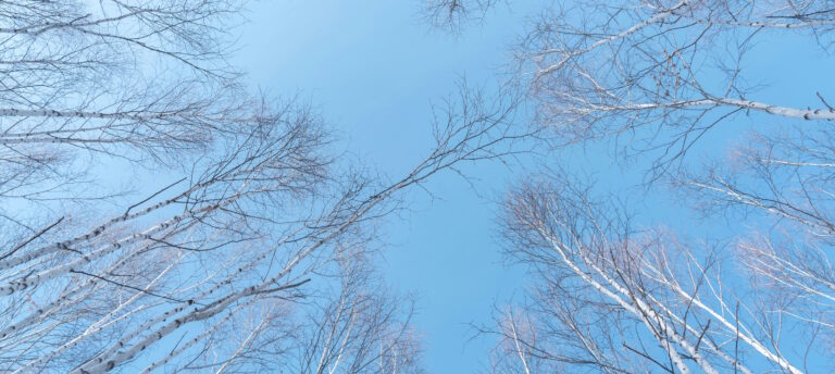 How Positive Thinking Reduces Self-Limiting Behaviours and Expands Opportunity